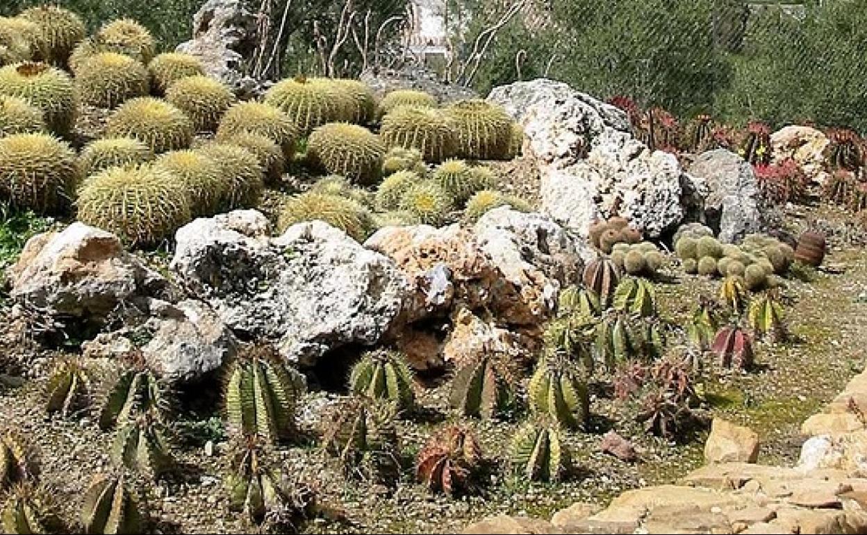 Jardin Botánico de Casarabonela.