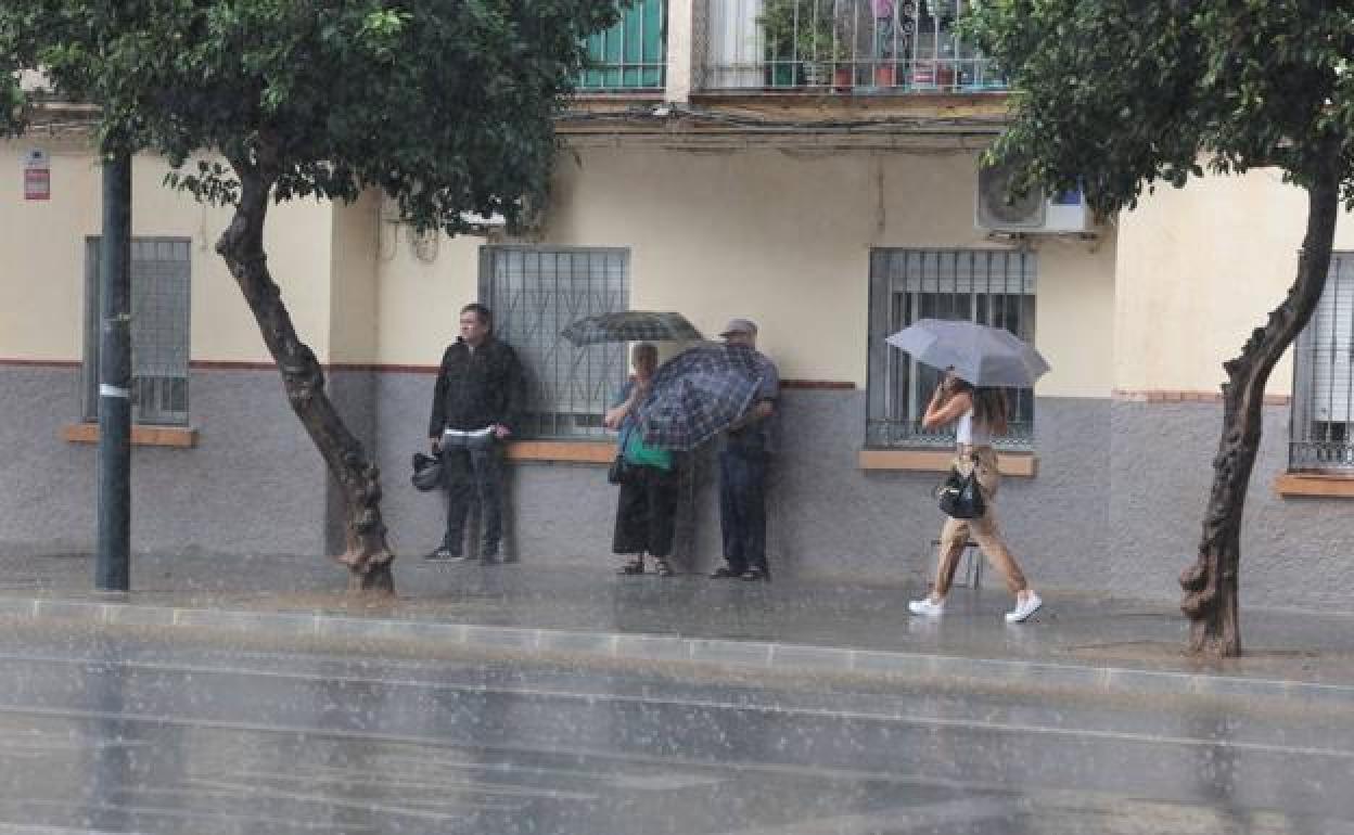 La lluvia deja una estampa otoñal, este lunes, en Málaga. 