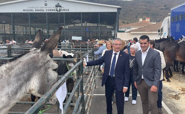 Imagen principal - Tres imágenes de la celebración que ha tenido lugar en el municipio axárquico. 