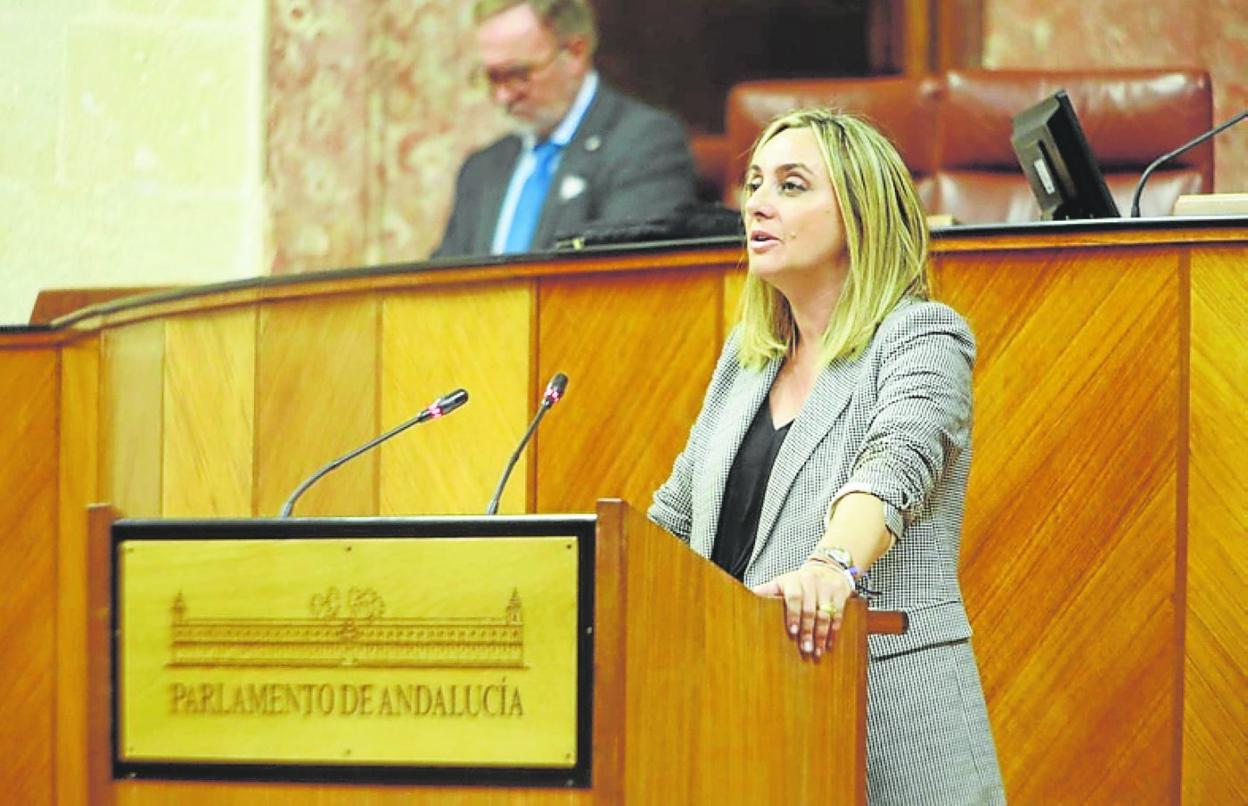 La consejera de Fomento, Marifrán Carazo, ayer en el Parlamento. 