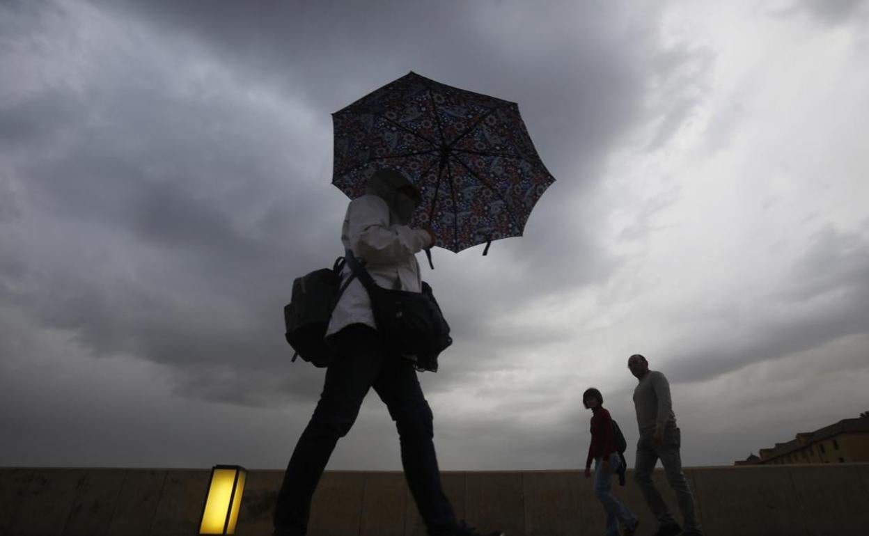 El tiempo Andalucía: Activan el aviso amarillo por lluvias en tres provincias andaluzas