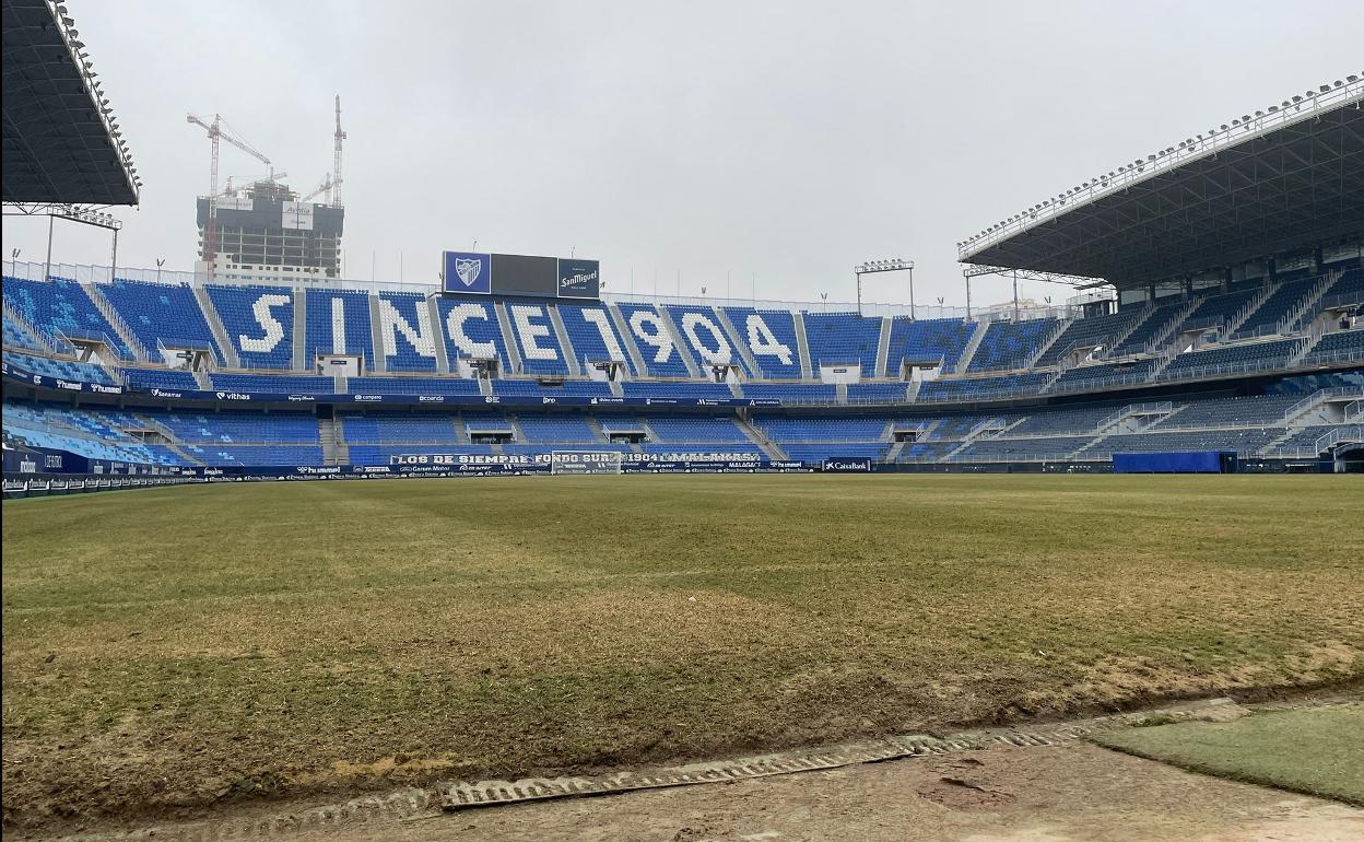 Imagen del césped de La Rosaleda este jueves.