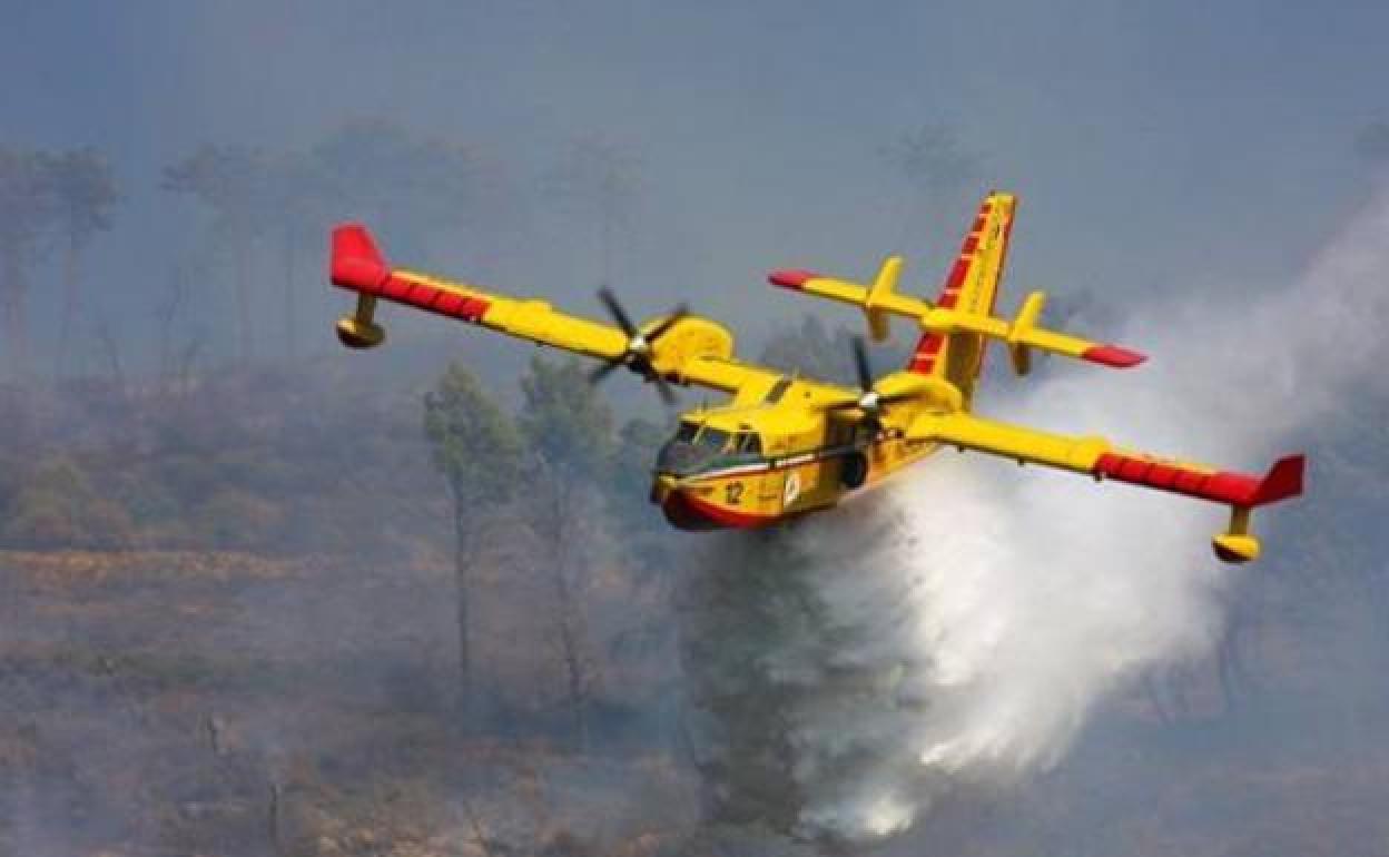 Hallado sin vida el piloto de la avioneta antiincendios que desapareció el miércoles en Zamora