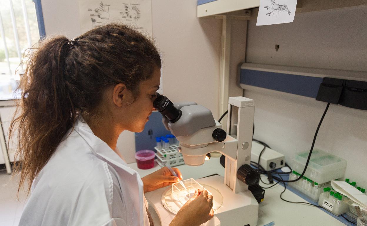 Una investigadora de la Universidad, en una imagen de archivo. 