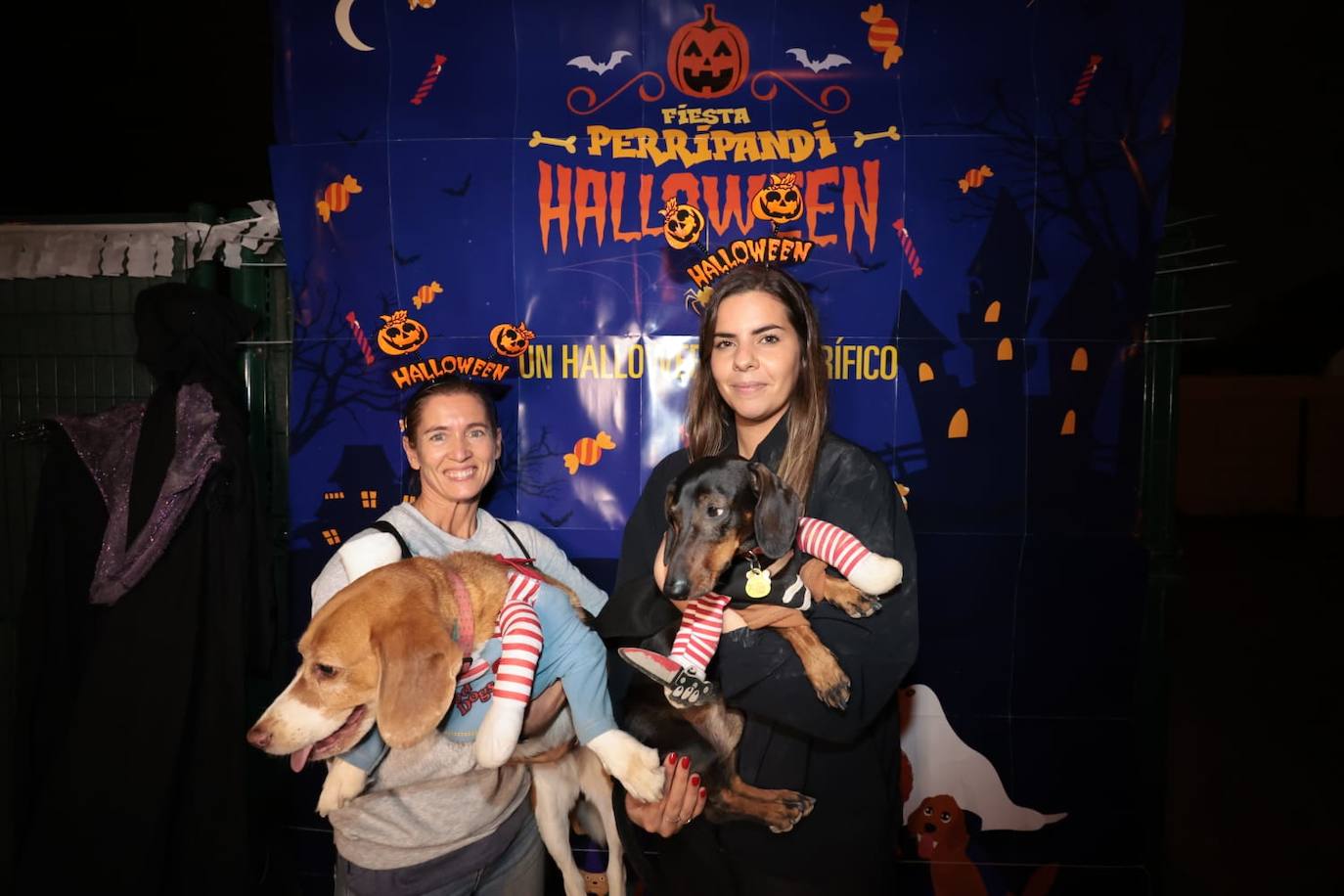 Halloween con mascotas en Guadalmar