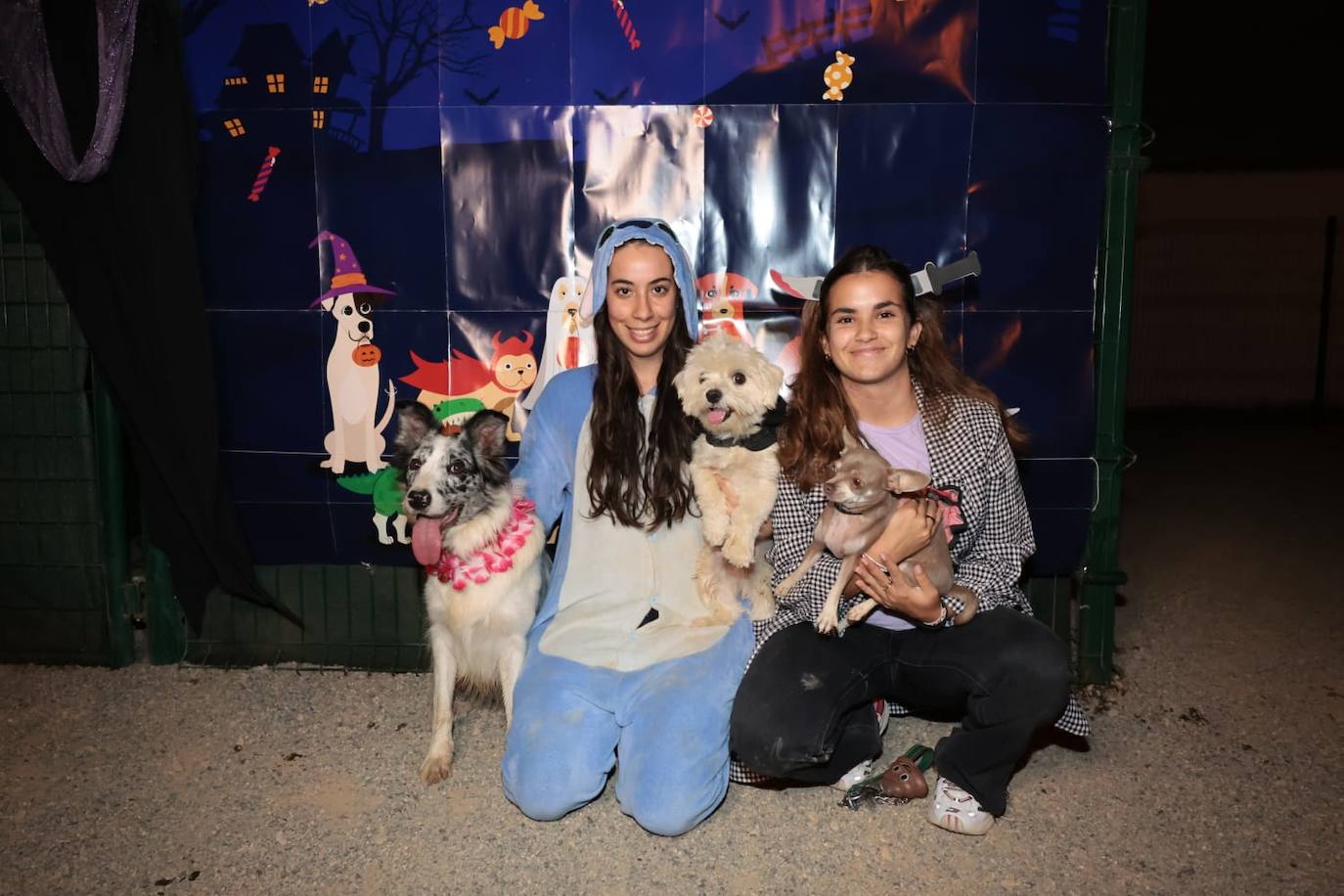 Halloween con mascotas en Guadalmar