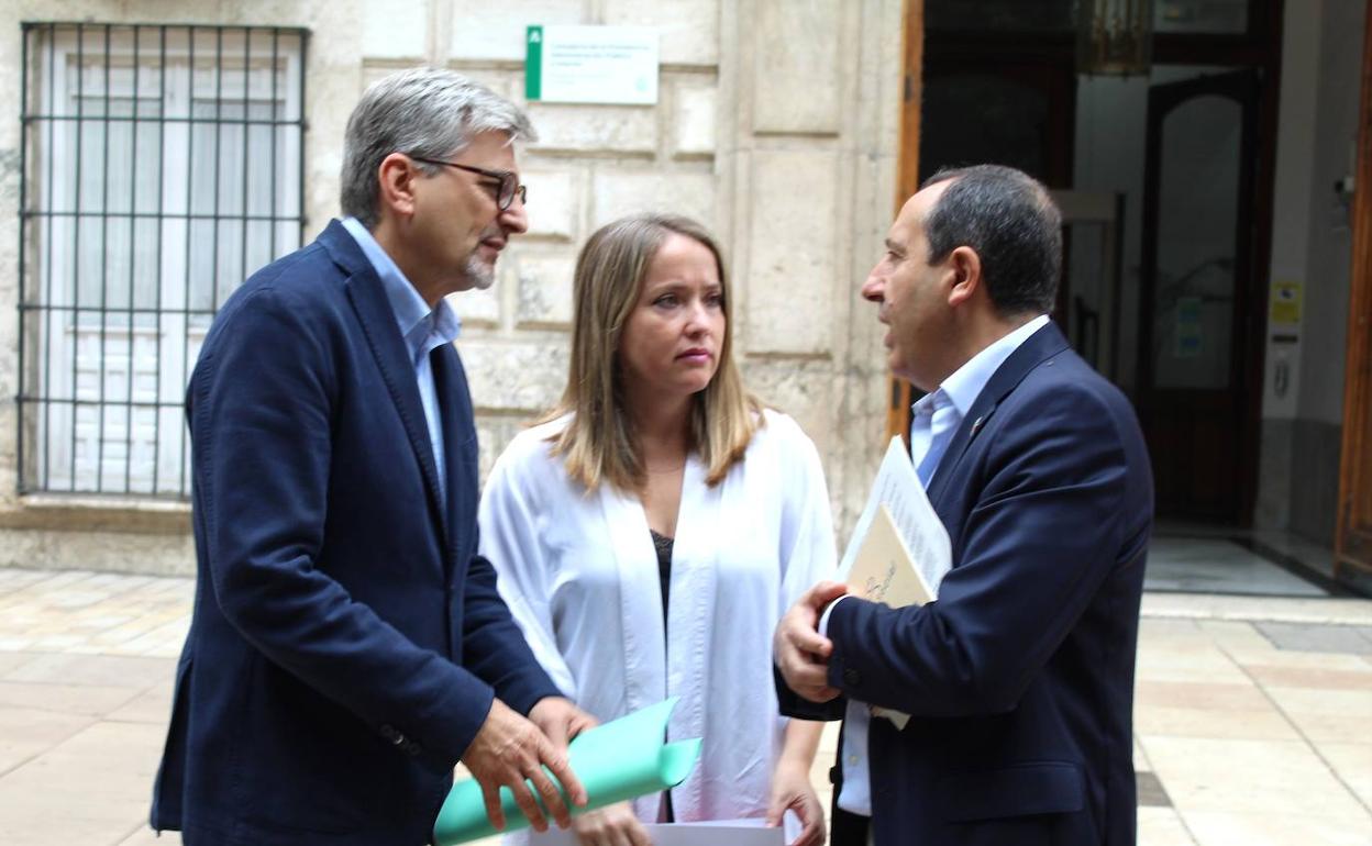 Los parlamentarios socialistas frente a la Delegación del Gobierno de la Junta en la provincia.