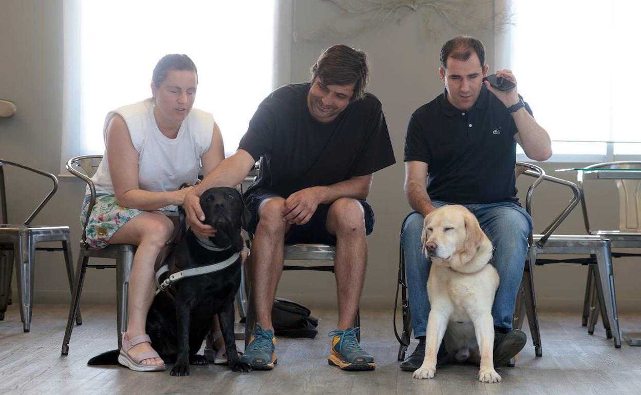 Nuria Azanza, Braulio Díez y Juanjo Montiel, con sus perros guía Whóst y Óldo. 
