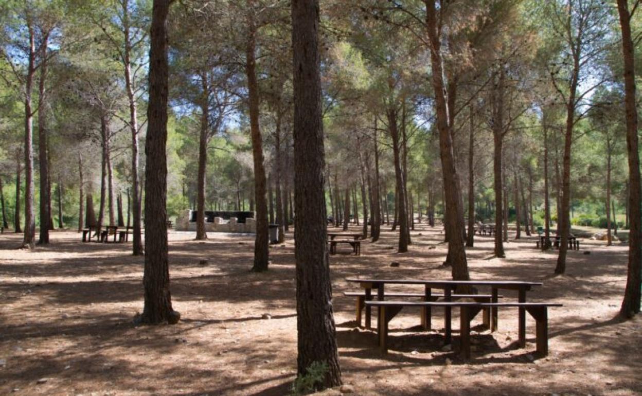 Imagen del área recreativa del Pinarillo en Nerja. 