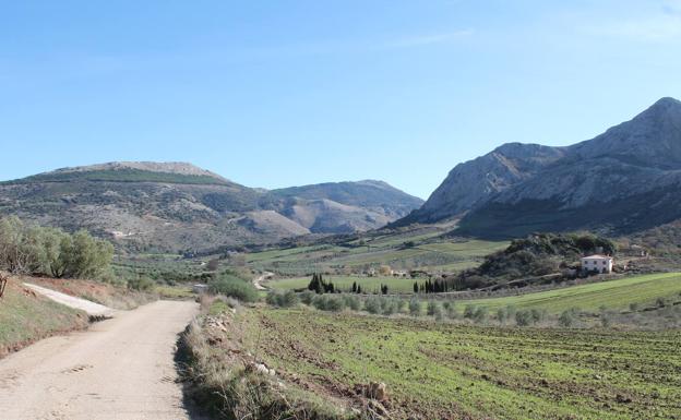 En este recorrido se ven los tajos de Alfarnatejo y parte del Arco Calizo Central