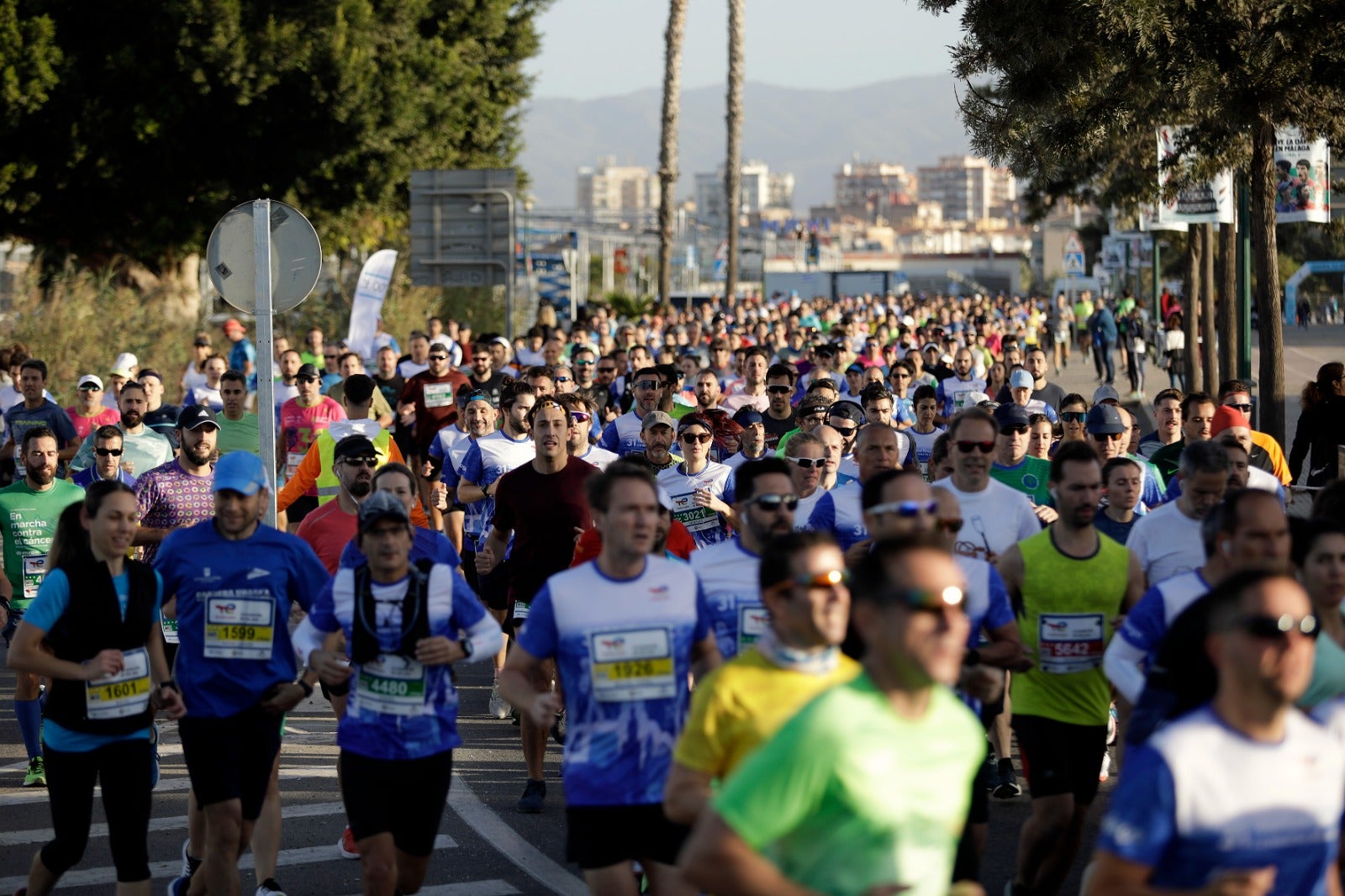 Miles de corredores participan en esta prueba que discurre por 21.097 metros homologados por la Real Federación Española de Atletismo, con sólo diez curvas y seis metros de desnivel desde el punto más alto al más bajo del recorrido.