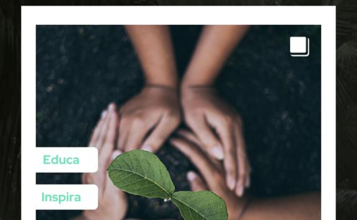 Cartel promocional de la actividad de reforestación. 