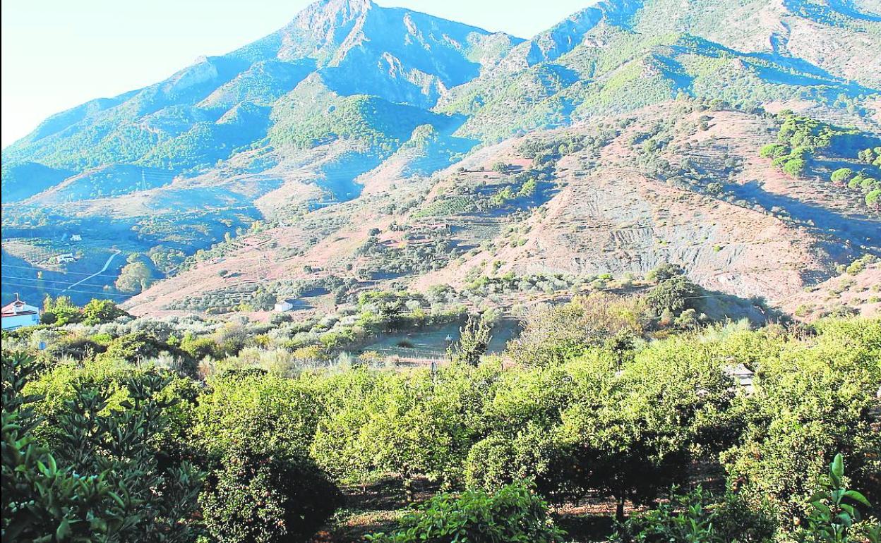 Sierra de Alcaparaín. Estas montañas están situadas entre los municipios de Carratraca y Casarabonela. 