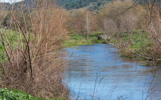 Ribera del Huéznar, en territorio de El Pedroso. 