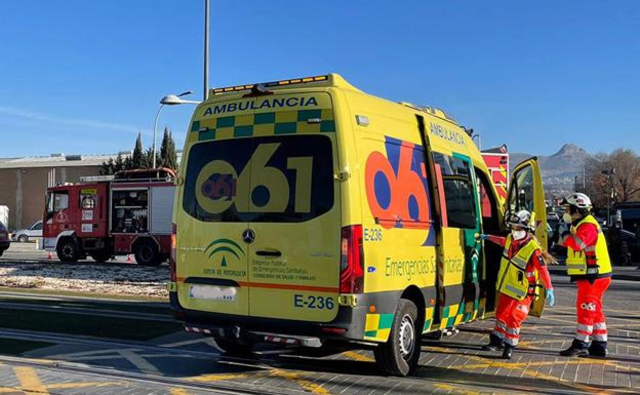 DGT: Atropellos mortales en carretera: dónde, cómo y cuándo se producen (y cómo evitarlos)