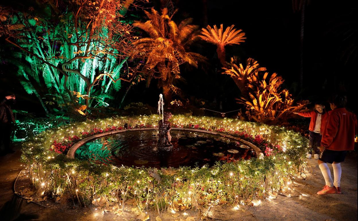 Fuente decorada en el interior del jardín botánico. 