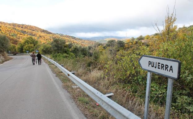 Últimos días del Bosque de Cobre.