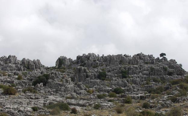 Llanos del Líbar. Aunque parezca el Torcal de Antequera, este enclave rocoso está en Montejaque