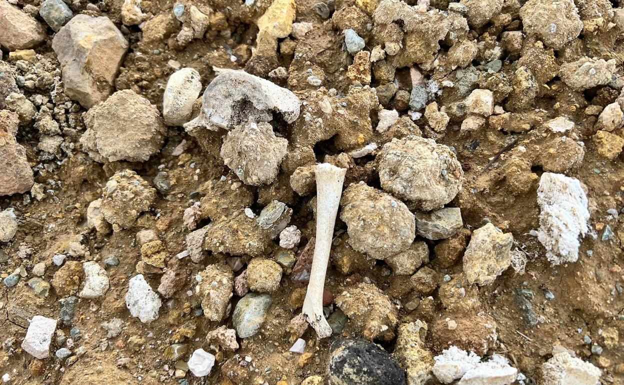 Restos óseos en Villanueva del Trabuco.