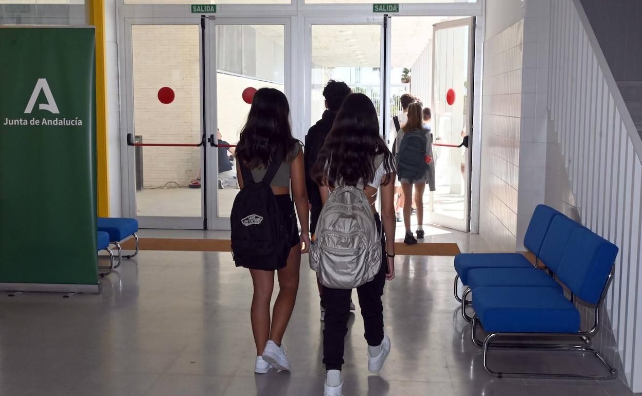 Los consejos escolares tienen competencias en la organización de los centros educativos. 