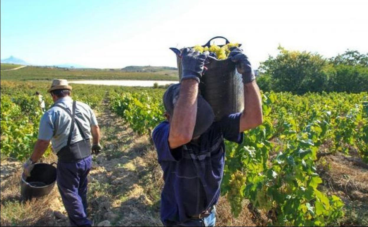 Andalucía bate récord de exportación hortofrutícola en los nueve primeros meses de 2022