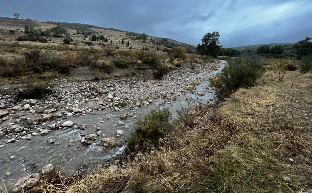 Caudal del río Guaro en Periana, en la cola del embalse de La Viñuela. 