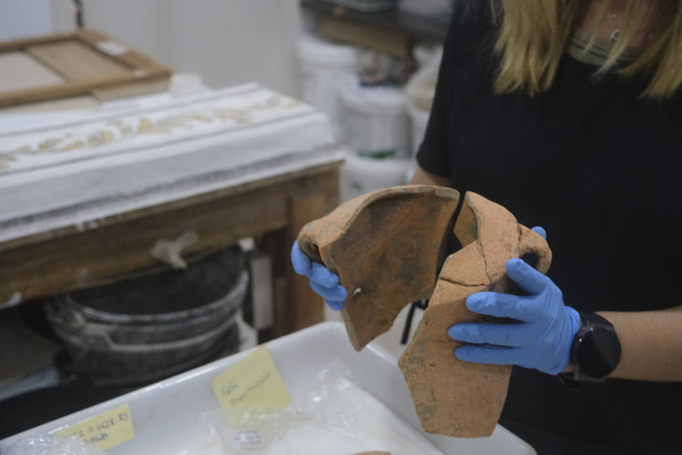 Fotos: Tras los secretos arqueológicos de Cerro del Villar