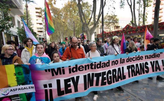 Imagen de una de las manifestaciones que recorrieron las ciudades españolas en defensa de la ley trans 