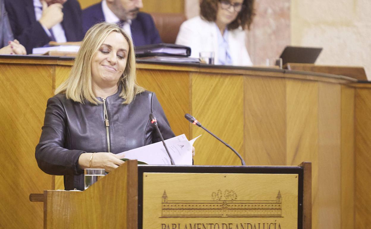 La consejera Marifrán Carazo, durante su intervención ante el pleno.