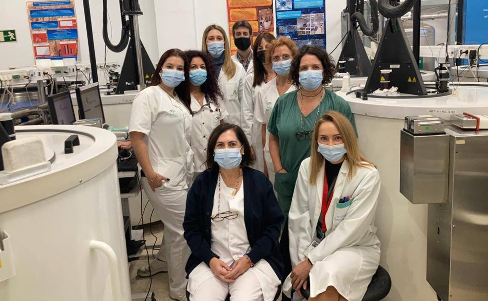 Equipo del Banco de sangre de cordón umbilical de Andalucía, con sede en el Hospital Civil de Málaga. 