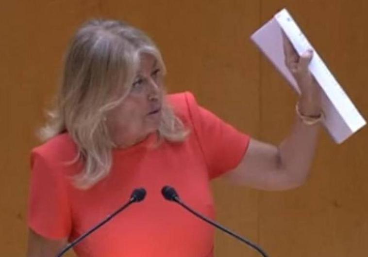 El Senado abre la investigación sobre el patrimonio de la alcaldesa de Marbella