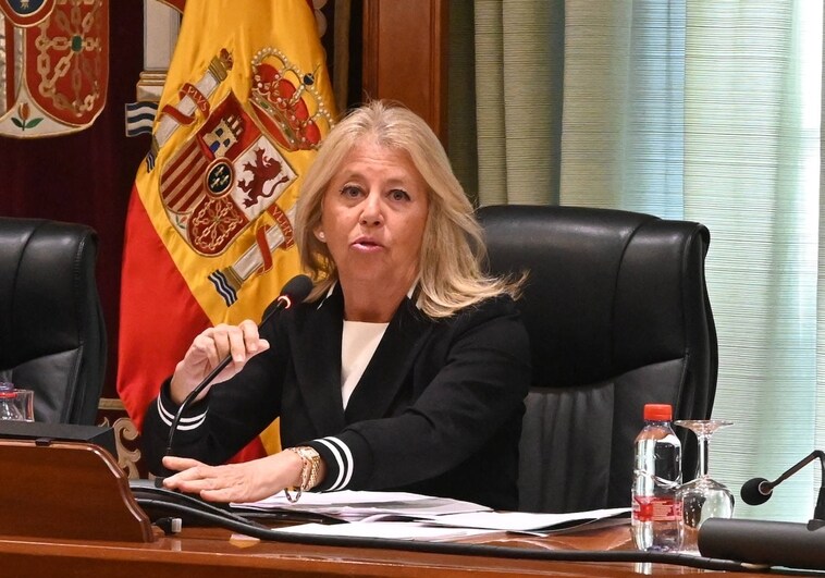 IU y PSOE piden explicaciones a la alcaldesa de Marbella al respecto de la investigación del Senado sobre su patrimonio