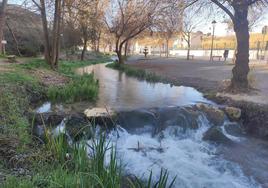 Esta ruta discurre por el monumento natural del Nacimiento de Riofrío