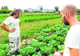 La plataforma que une al campo con la mesa