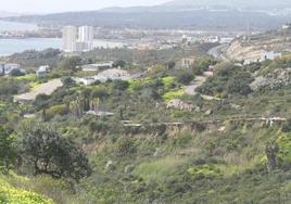 La zona.