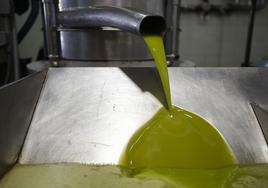 Dos nuevas marcas de aceite de oliva se unen a las nueve inmovilizadas por presunto fraude