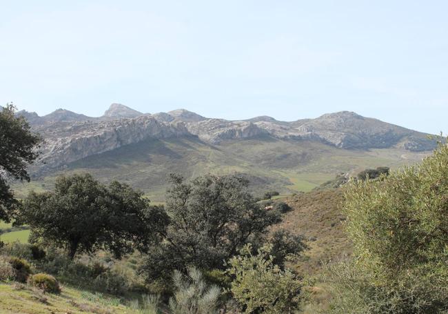 Al llegar al cerro de Almanzora se tienen bonitas panorámicas