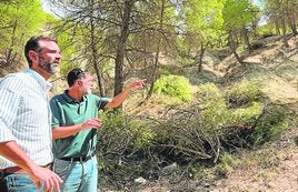 El consejero de Sostenibilidad, Ramón Fernández-Pacheco.