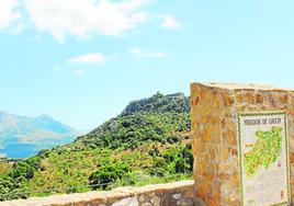 Junto a la carretera Ronda-Algeciras hay varios miradores con excelentes vistas.