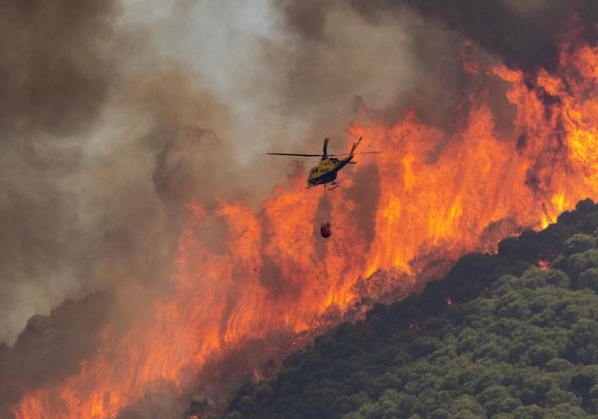 La Junta destaca el aumento en un 24% de su inversión para prevenir incendios