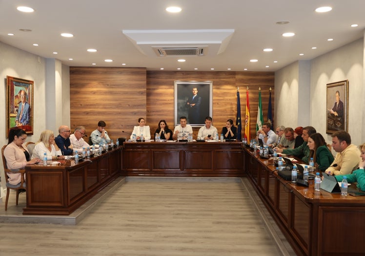 Imagen del pleno celebrado este jueves en Torrox.