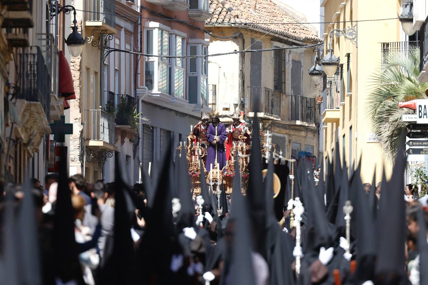 Semana Santa de Málaga 2023: Domingo de Ramos