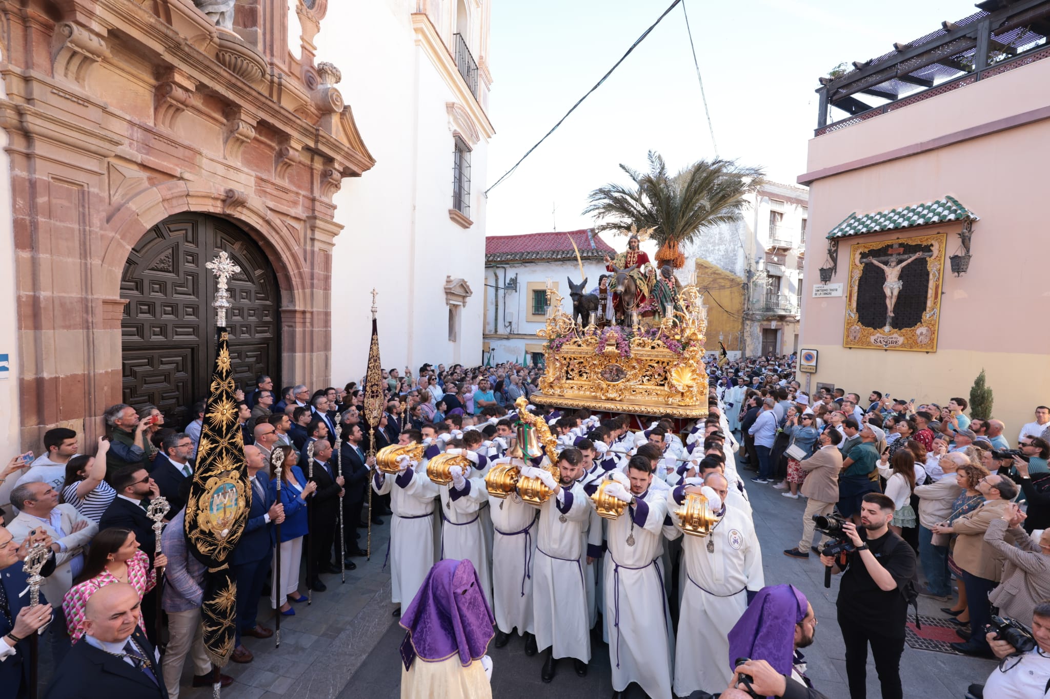 Semana Santa de Málaga 2023: Domingo de Ramos