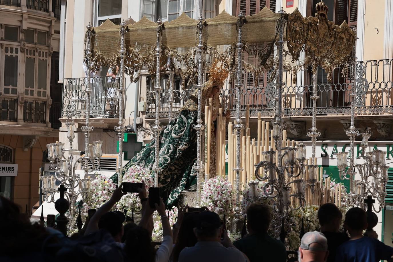 Semana Santa de Málaga 2023: Domingo de Ramos