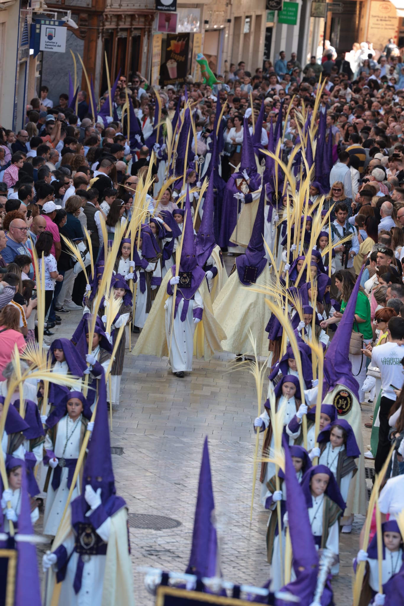 Semana Santa de Málaga 2023: Domingo de Ramos