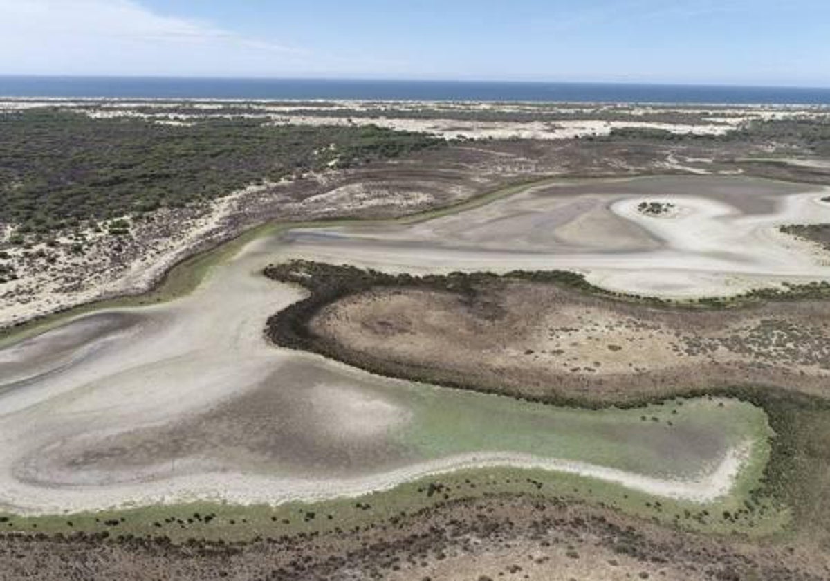 Parque Nacional de Doñana.