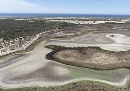 Los efectos de la sequía se dejan notar en las lagunas de Doñana.