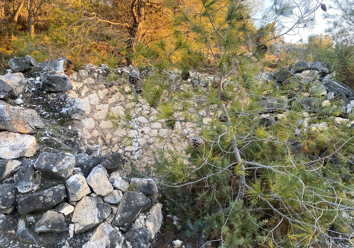 Imagen de los restos de una antigua calera en la sierra de Frigiliana, en la ruta al Fuerte.