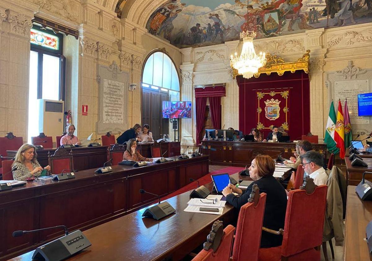 En la imagen, la última comisión de Derechos Sociales de este mandato municipal 2019-2023.