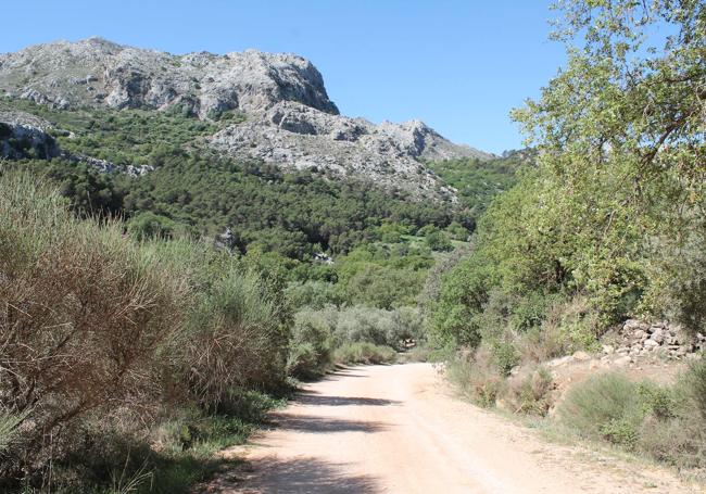 El camino recompensa con bonitas vistas panorámicas